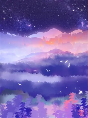 阳关的玫瑰电视