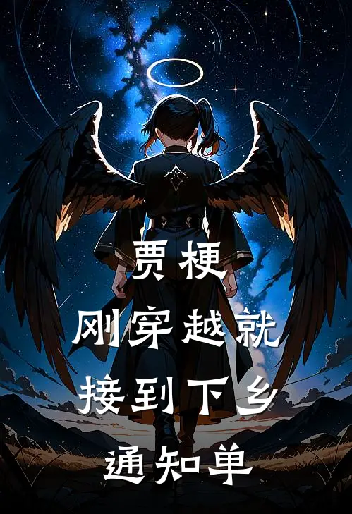 贾梗，刚穿越就接到下乡通知单